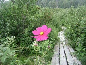 292794_10150360429360955_8282076_n