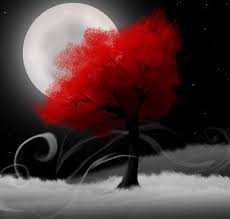 image tirée de  littlesunshine.blogourt.fr